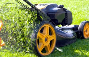 How to Clean Lawn Mower Carburetor Without Removing It