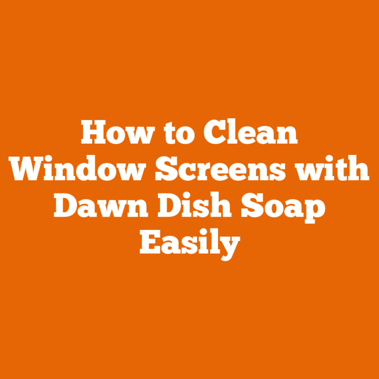 How to Clean Window Screens with Dawn Dish Soap Easily