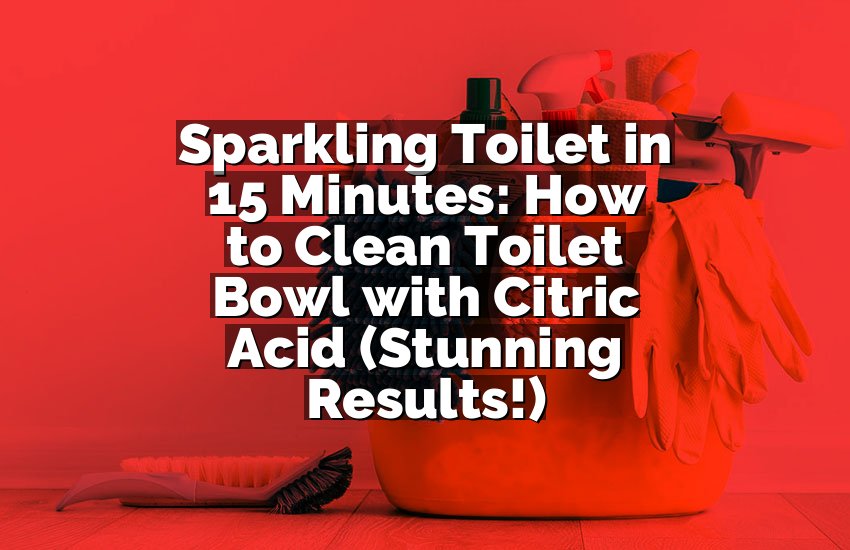Sparkling Toilet in 15 Minutes: How to Clean Toilet Bowl with Citric Acid (Stunning Results!)