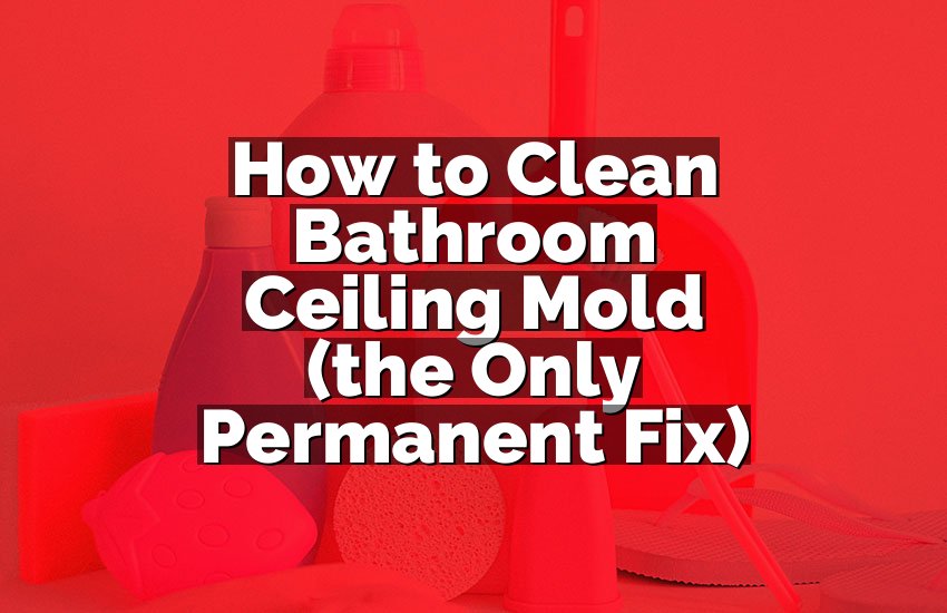 How to Clean Bathroom Ceiling Mold (the Only Permanent Fix)