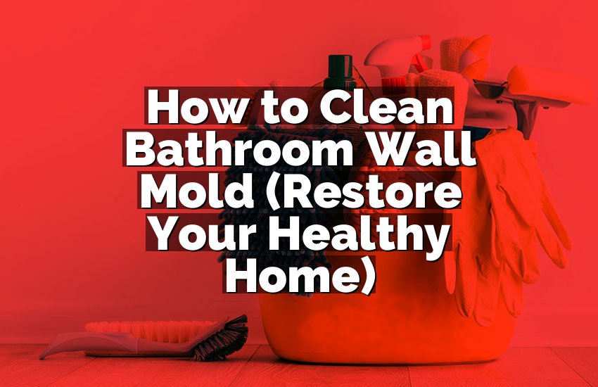 How to Clean Bathroom Wall Mold (Restore Your Healthy Home)