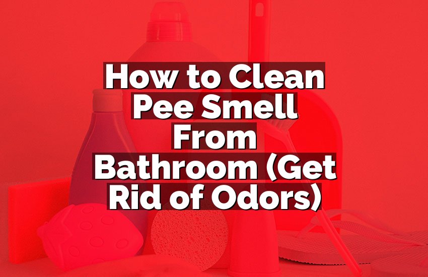 How to Clean Pee Smell From Bathroom (Get Rid of Odors)