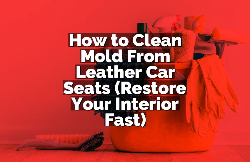 How to Clean Mold From Leather Car Seats (Restore Your Interior Fast)