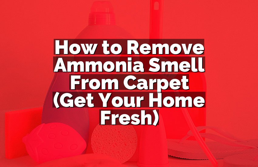 How to Remove Ammonia Smell From Carpet (Get Your Home Fresh)
