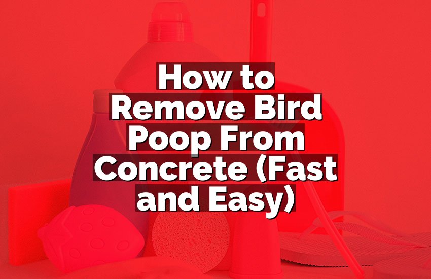 How to Remove Bird Poop From Concrete (Fast and Easy)