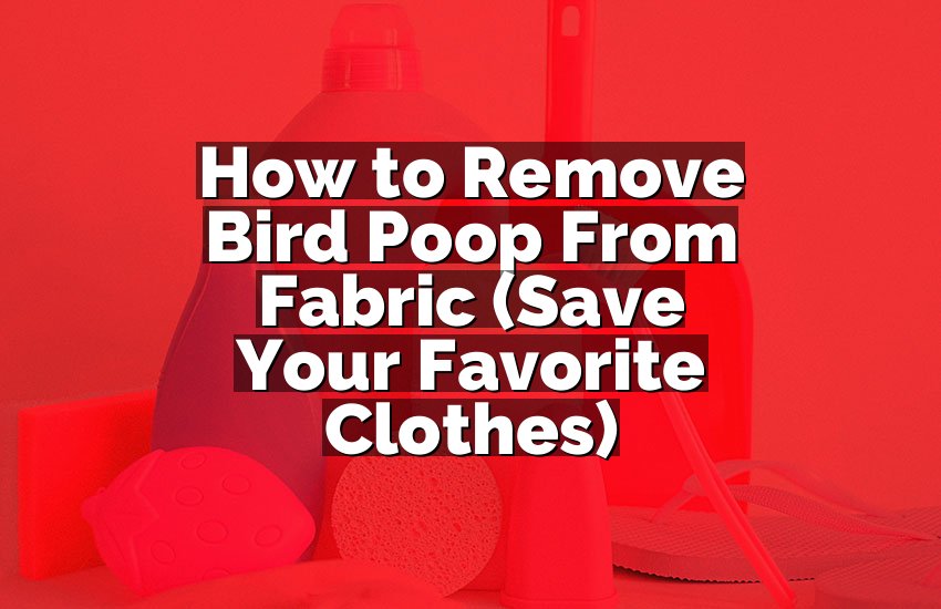 How to Remove Bird Poop From Fabric (Save Your Favorite Clothes)