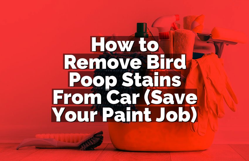 How to Remove Bird Poop Stains From Car (Save Your Paint Job)