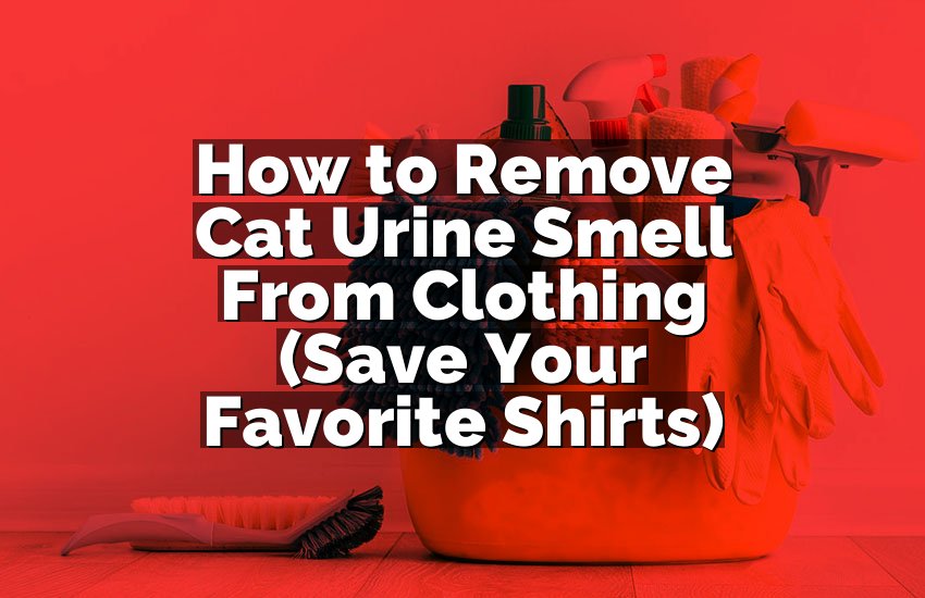How to Remove Cat Urine Smell From Clothing (Save Your Favorite Shirts)