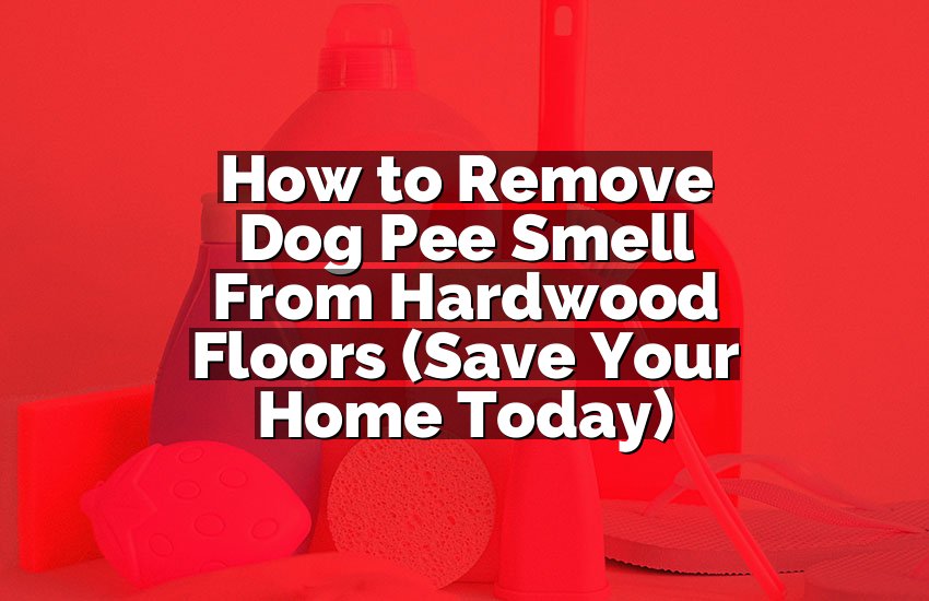 How to Remove Dog Pee Smell From Hardwood Floors (Save Your Home Today)