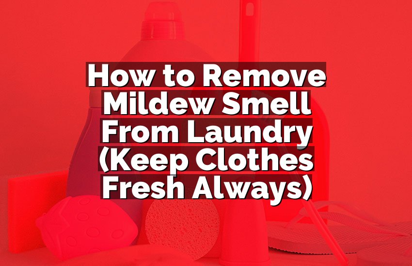 How to Remove Mildew Smell From Laundry (Keep Clothes Fresh Always)