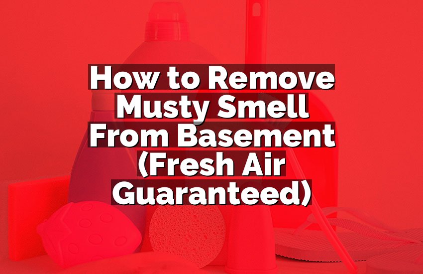 How to Remove Musty Smell From Basement (Fresh Air Guaranteed)