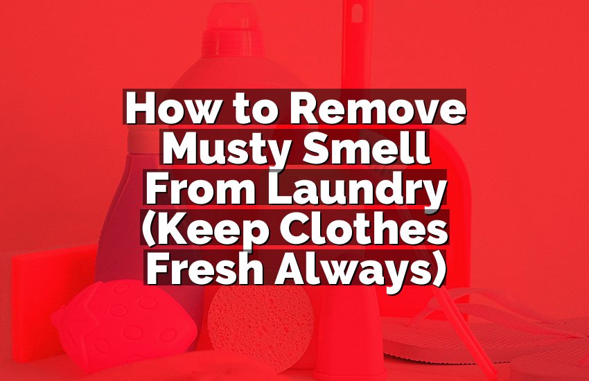 How to Remove Musty Smell From Laundry (Keep Clothes Fresh Always)