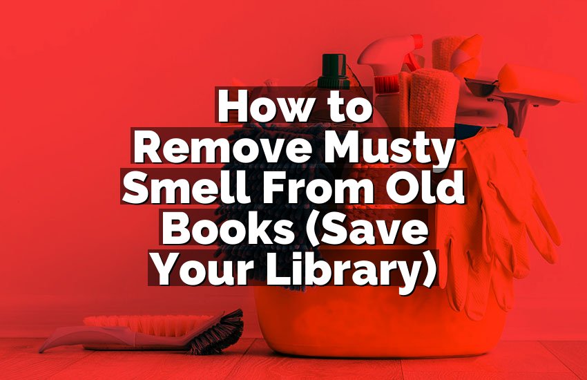 How to Remove Musty Smell From Old Books (Save Your Library)