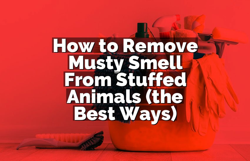 How to Remove Musty Smell From Stuffed Animals (the Best Ways)