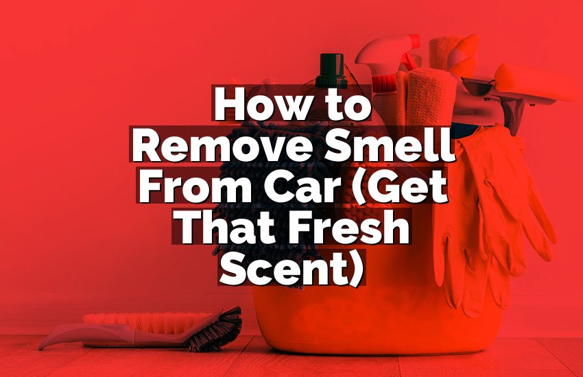 How to Remove Smell From Car (Get That Fresh Scent)