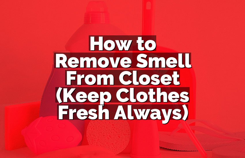How to Remove Smell From Closet (Keep Clothes Fresh Always)