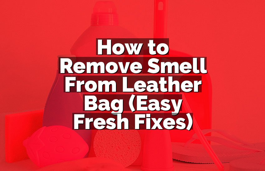 How to Remove Smell From Leather Bag (Easy Fresh Fixes)